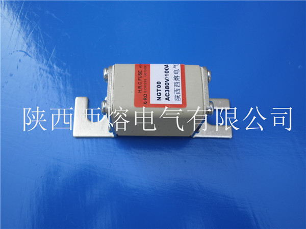 西熔熔斷器廠(chǎng)家